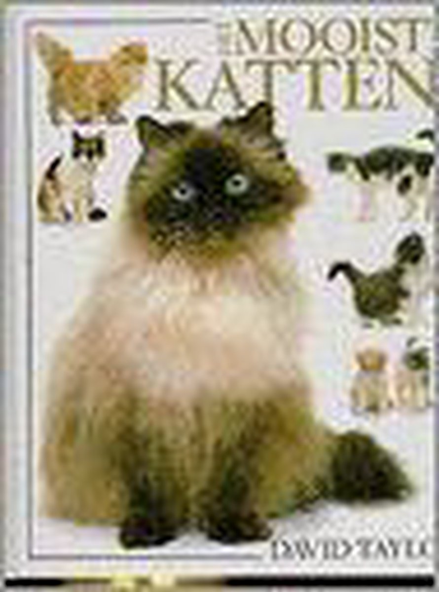 Het mooiste kattenboek