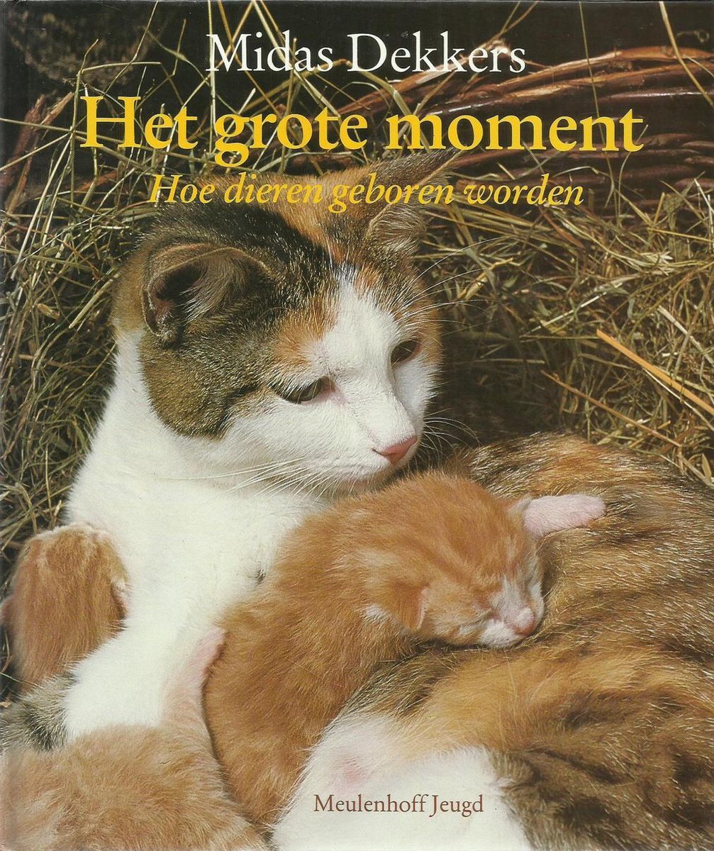 boekenbalie_9789029095884_cover Het grote moment