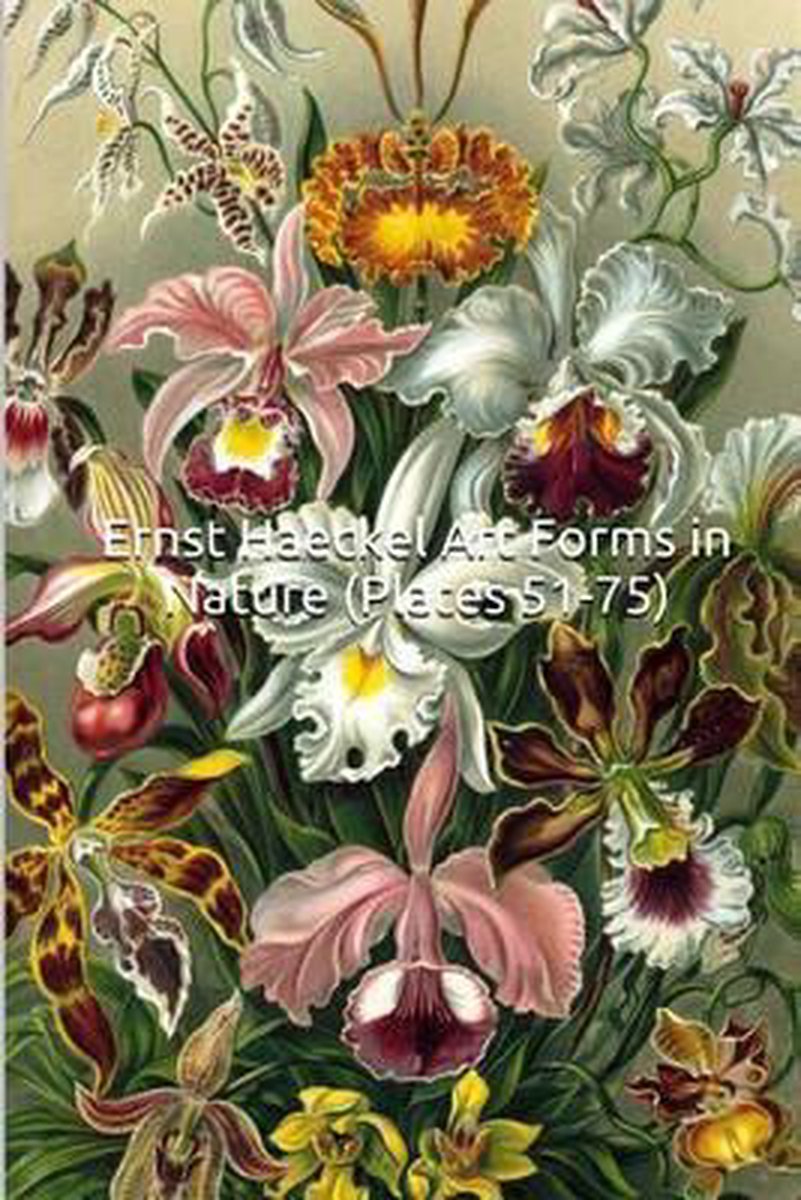 Ernst Haeckel Art Forms in Nature (Plates 51-75)