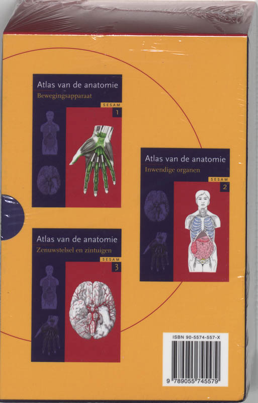 Sesam Atlas Van De Anatomie Set 3 Delen achterkant