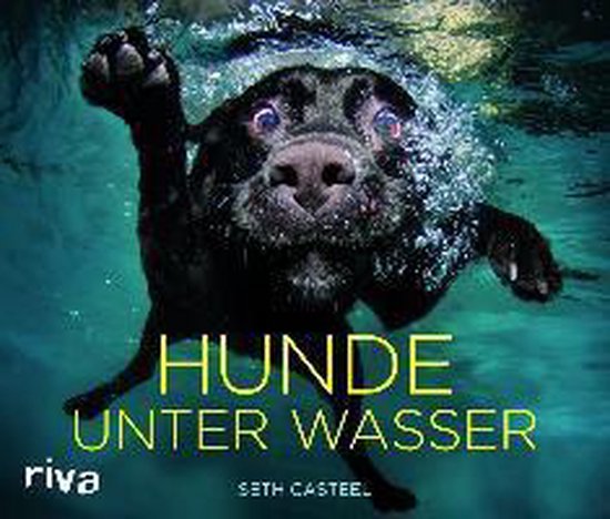 Seth Casteel Hunde Unter Wasser
