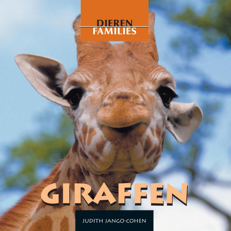 Giraffen / Dierenfamilies