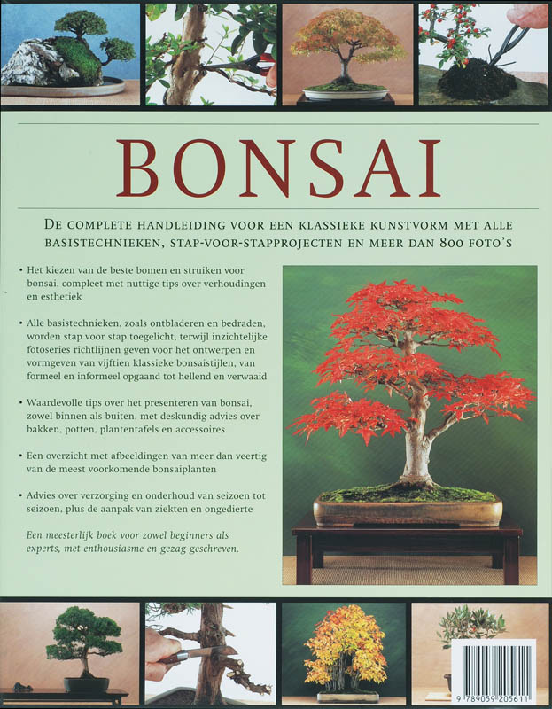 Bonsai achterkant