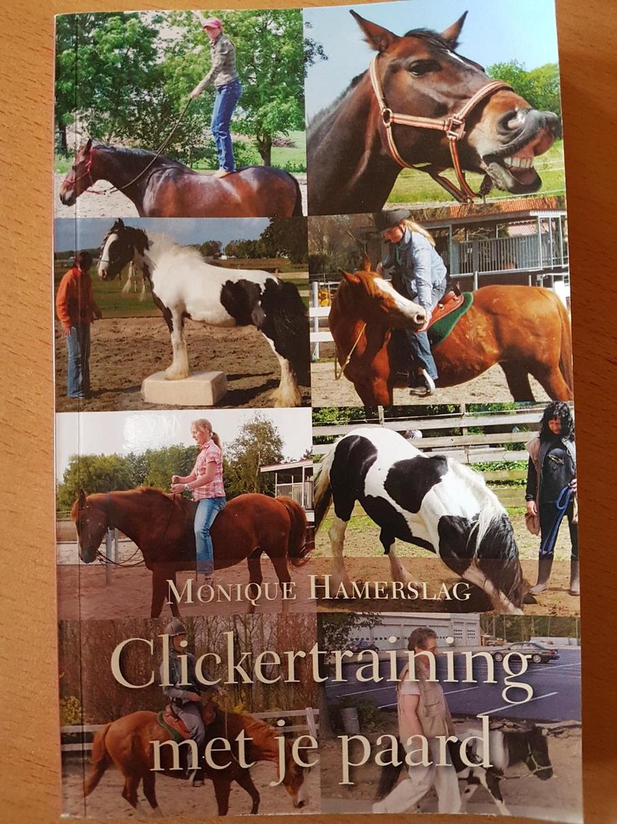 Clickertraining met je paard