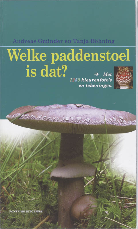 Welke Paddestoel Is Dat