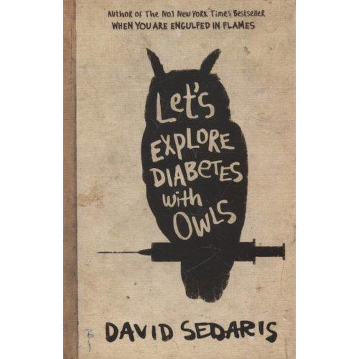 David Sedaris Let's Explore Diabetes With Owls
