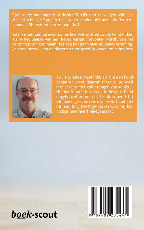 Sjef de ondeugende York achterkant