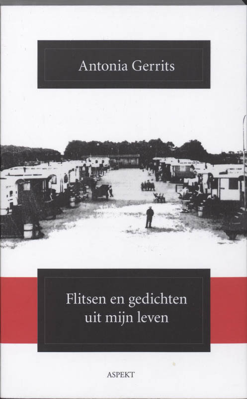 Flitsen en gedichten uit mijn leven