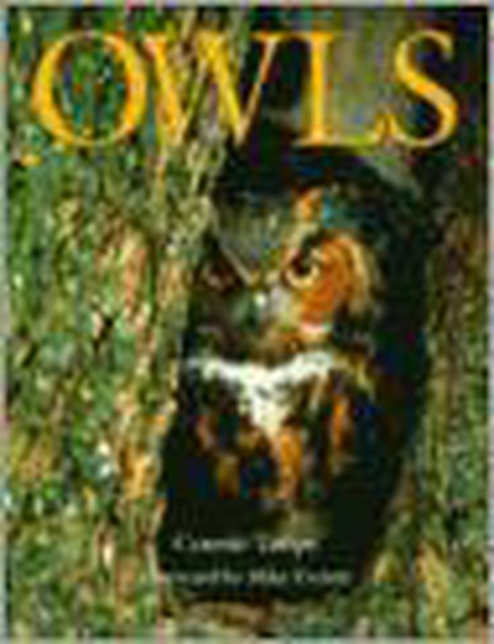 Owls