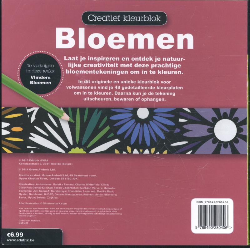 Creatief kleurblok bloemen achterkant
