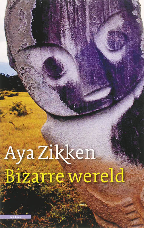 boekenbalie_9789045000145_cover Bizarre wereld