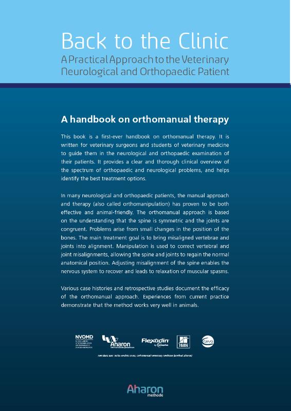 Back to the Clinic achterkant