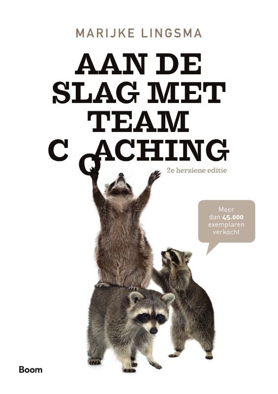 Marijke Lingsma Aan De Slag Met Teamcoaching