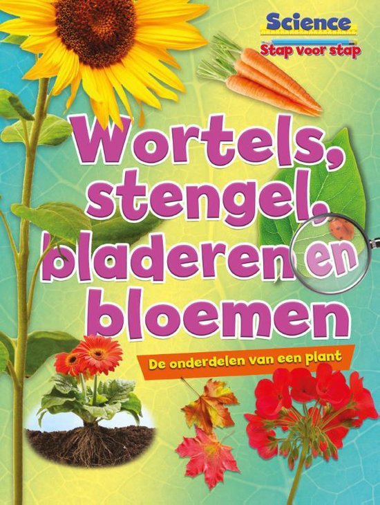 science stap voor stap  -   Wortels, stengels, bladeren en bloemen