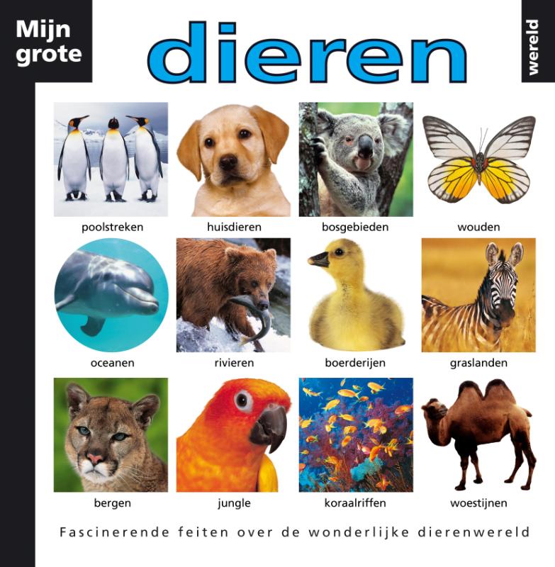 boekenbalie_9789047502227_cover Mijn Grote Dierenwereld