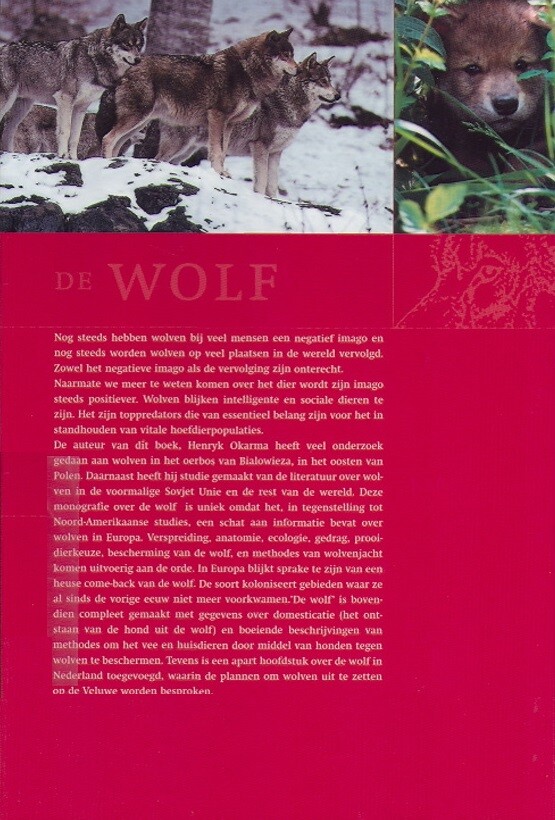 Wolf achterkant