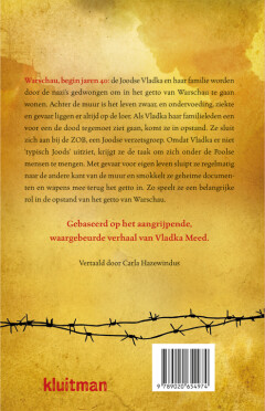 Het meisje aan de andere kant van de muur achterkant