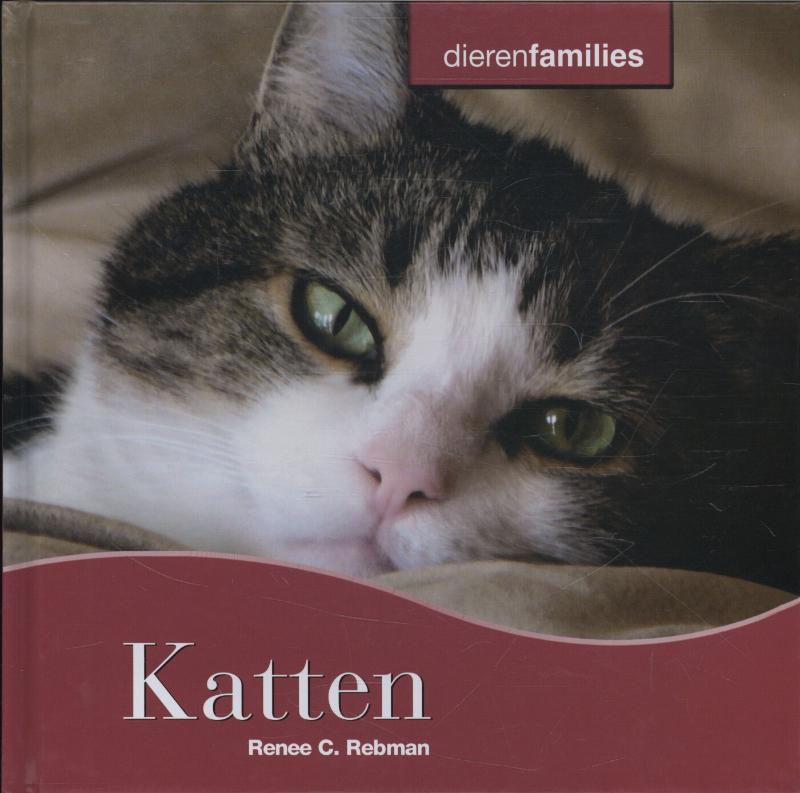 Katten / Dierenfamilies
