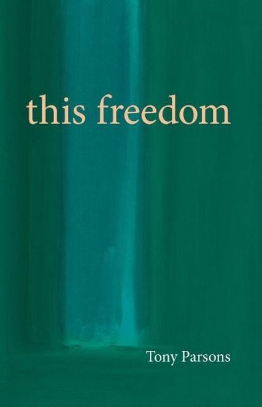 Tony Parsons This Freedom thumbnail
