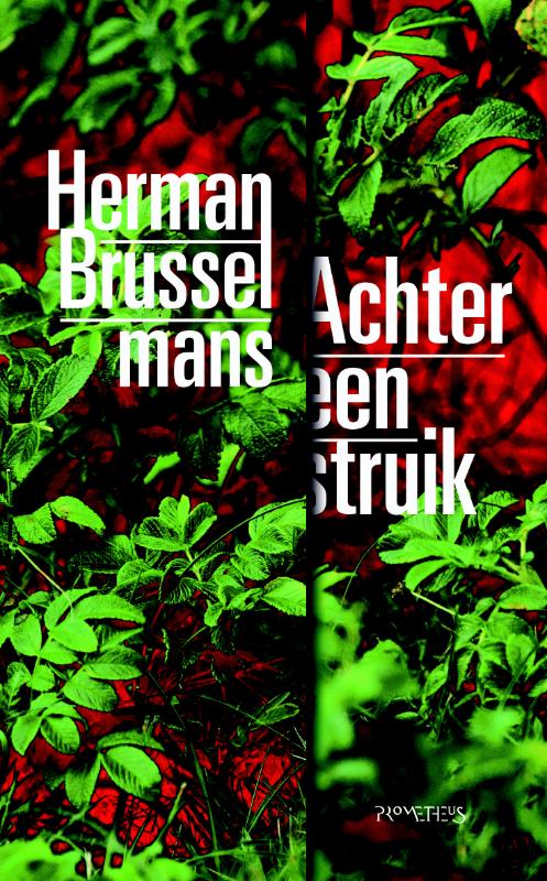 Herman Brusselmans Achter Een Struik