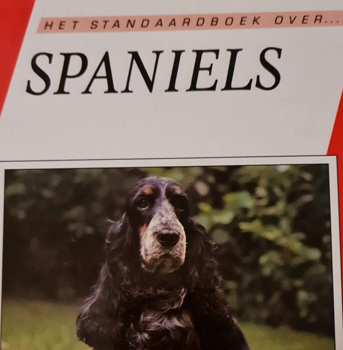boekenbalie_9789062486656_cover Spaniels