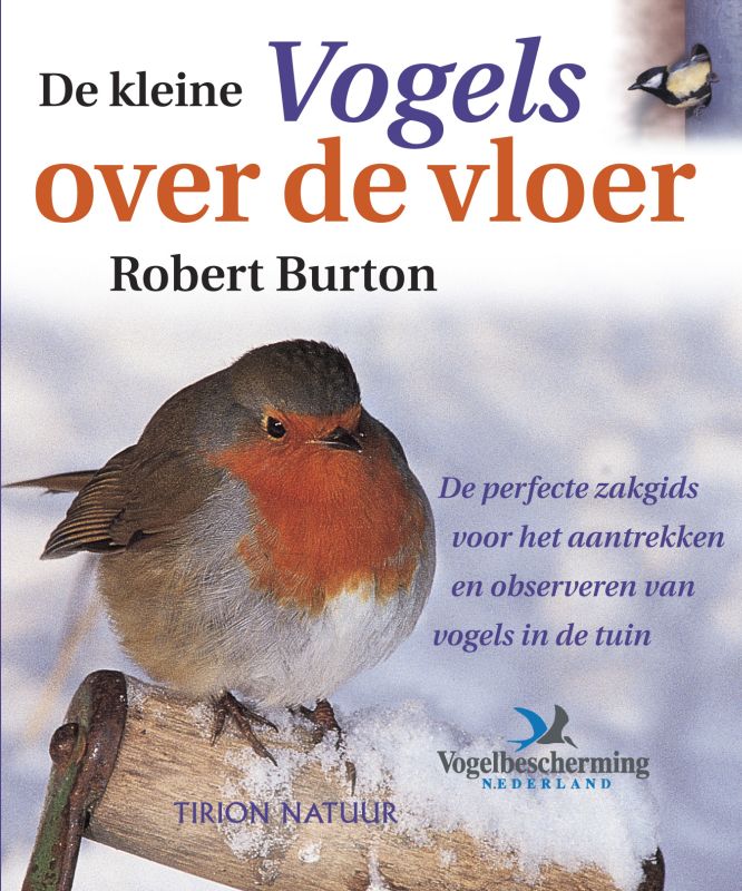 Kleine Vogels Over De Vloer