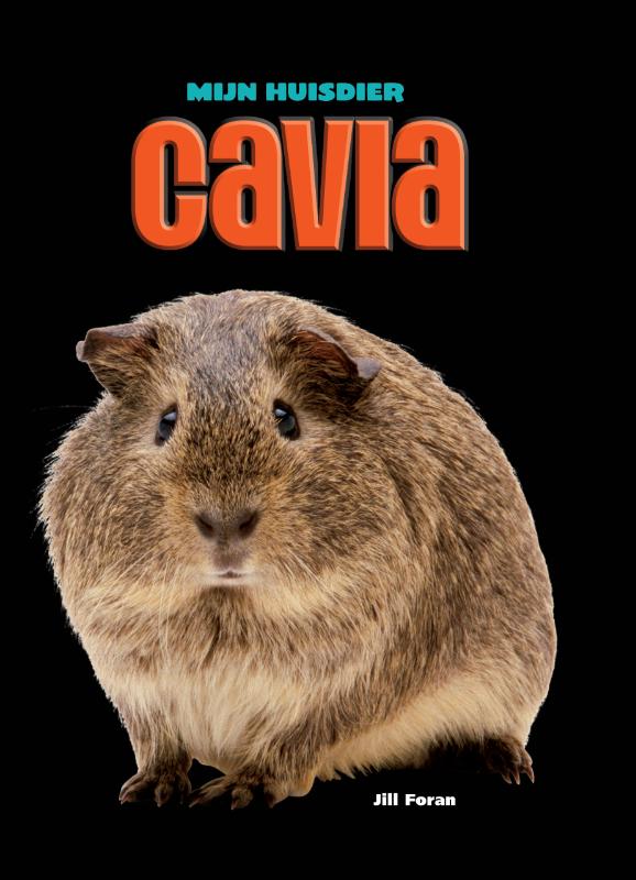 Cavia / Mijn Huisdier