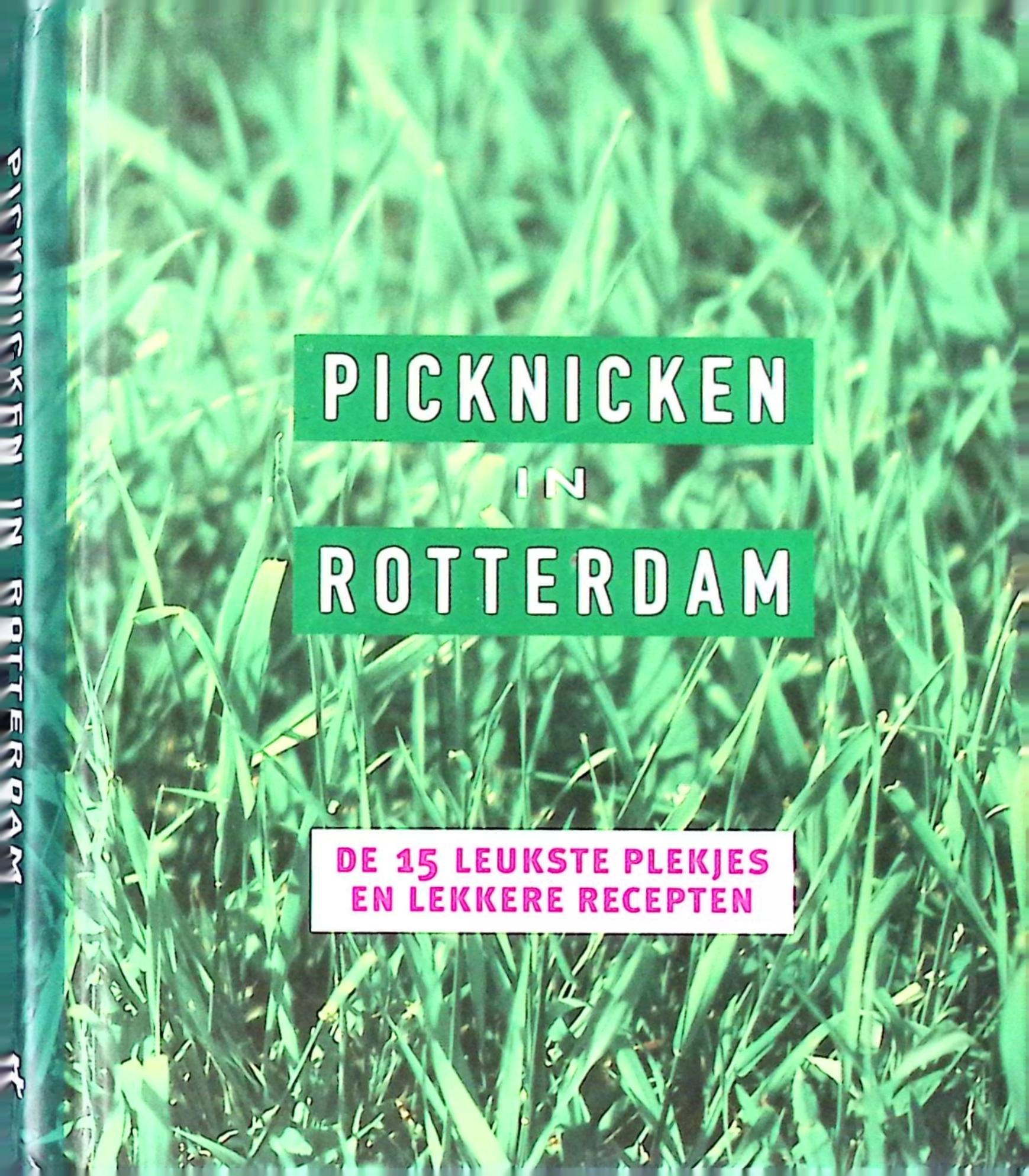 Picknicken in Rotterdam