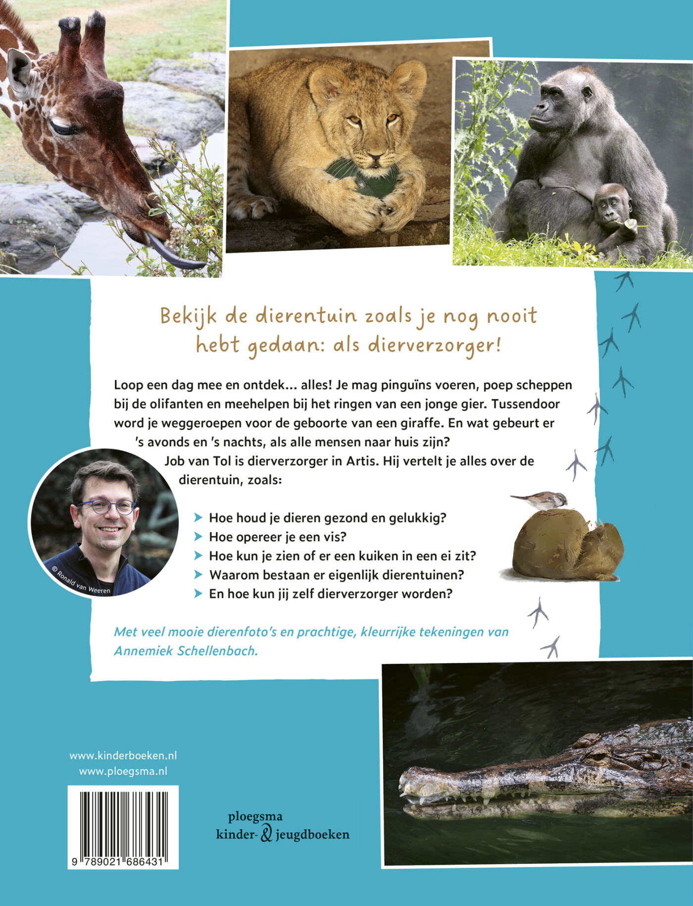 Gieren met de pinguïns achterkant
