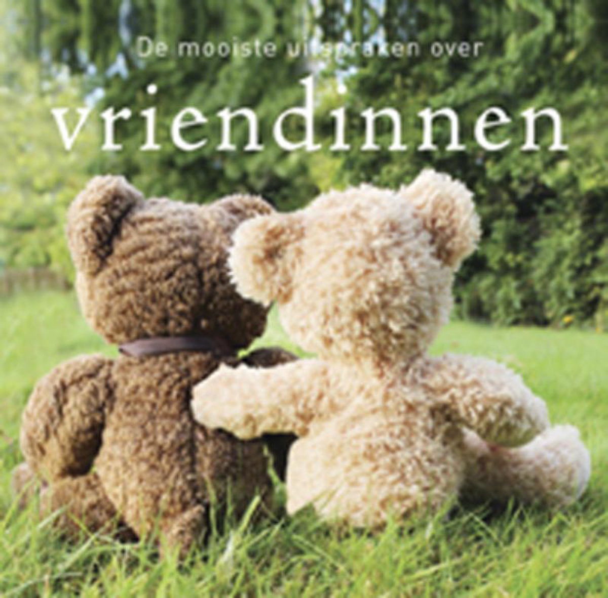 boekenbalie_9789460970467_cover De mooiste uitspraken over vriendinnen / De mooiste uitspraken over