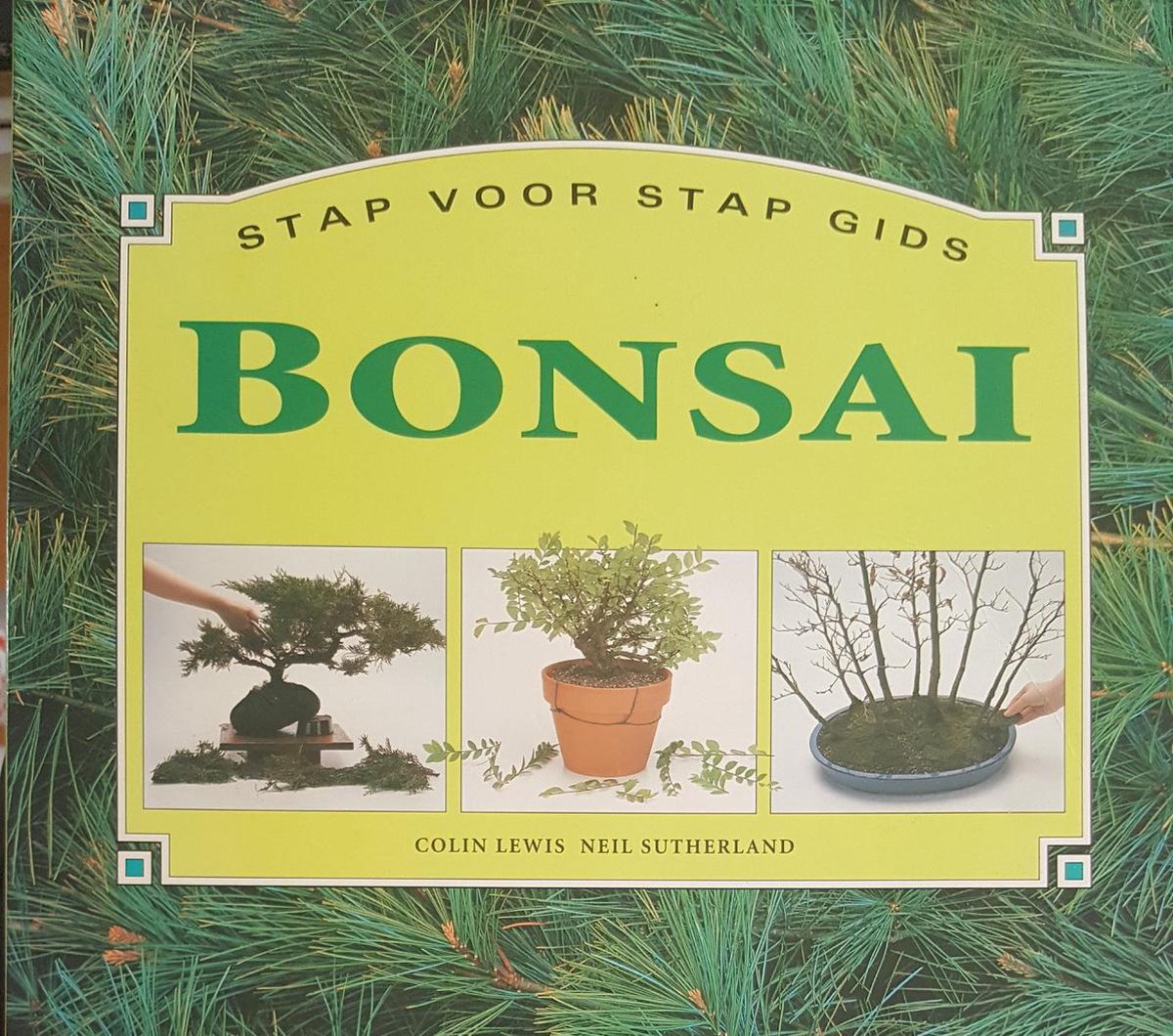 BONSAI(STAP VOOR STAP GIDS)