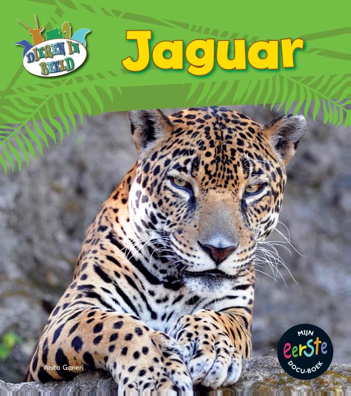 Jaguar / Dieren in beeld