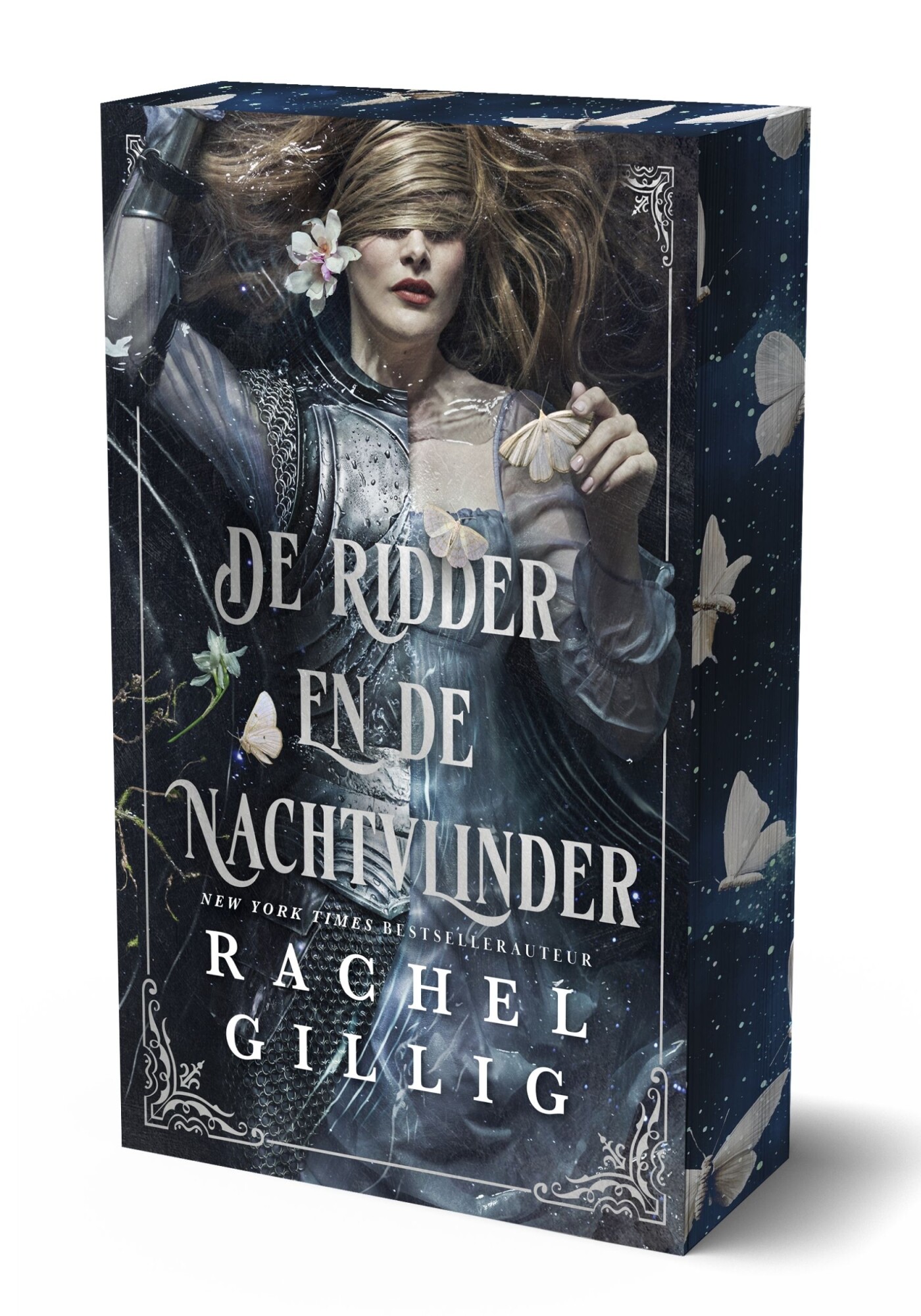 De ridder en de nachtvlinder / The Stonewater Kingdom / 1