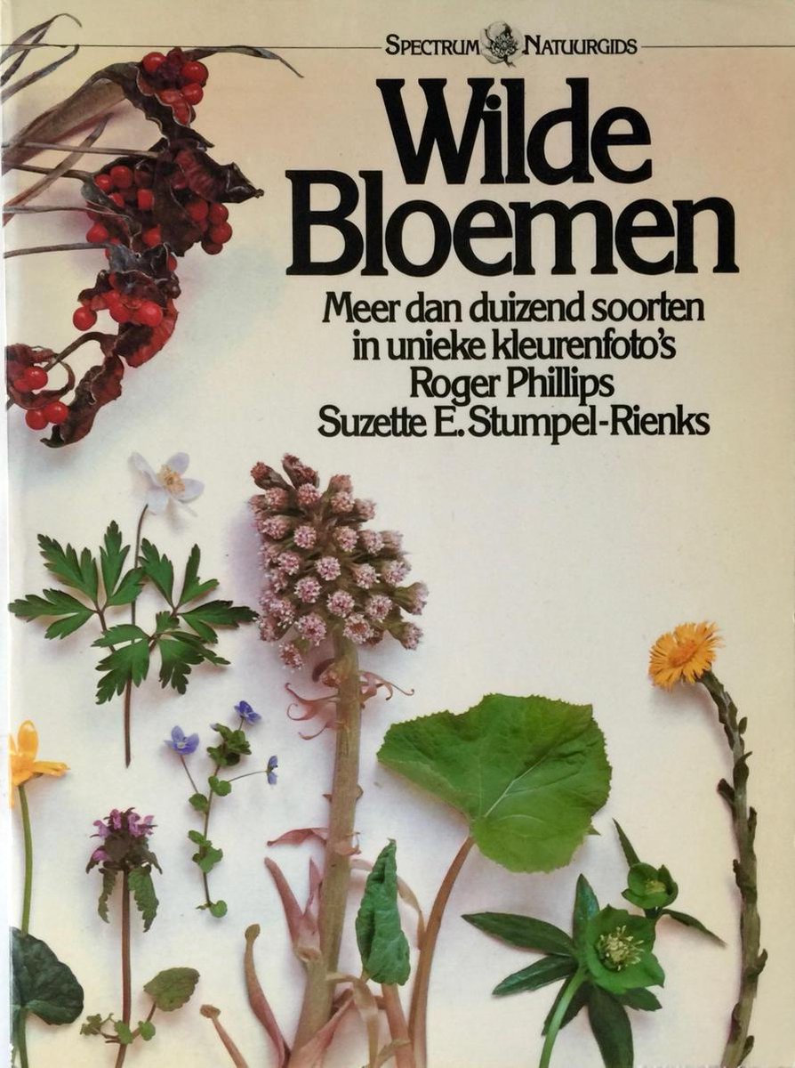 Wilde bloemen