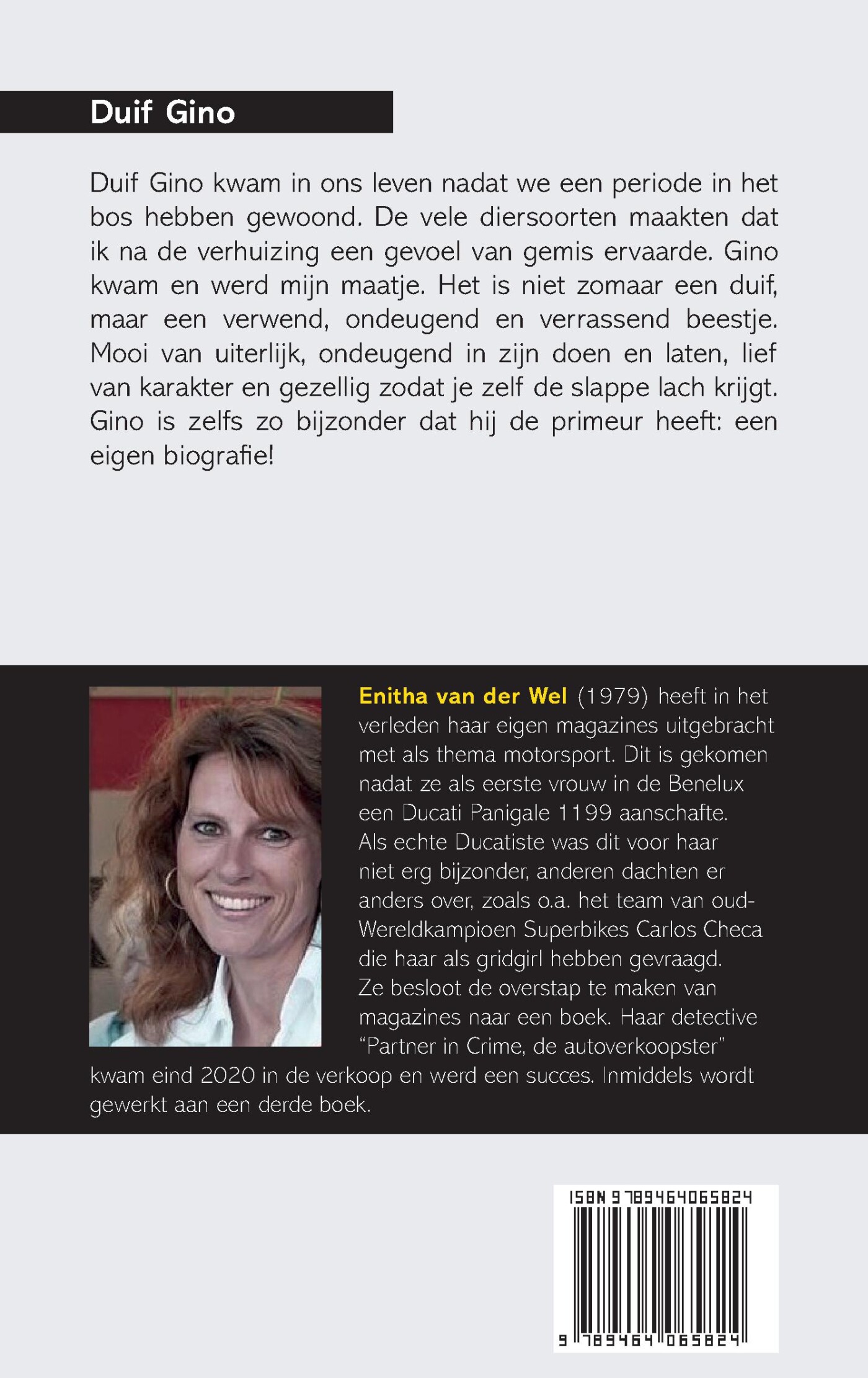Duif Gino achterkant