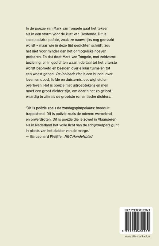 De loeiende tier achterkant