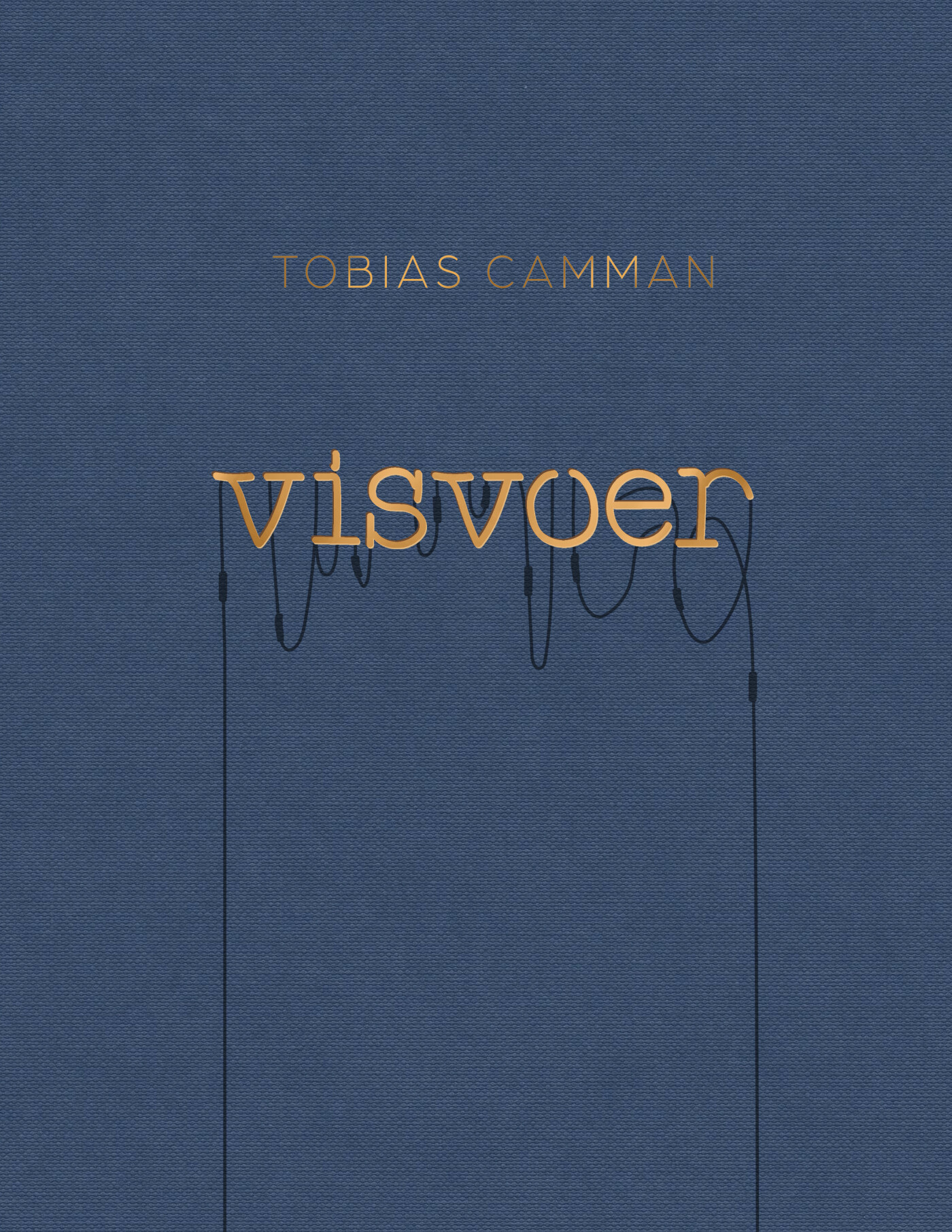 Visvoer