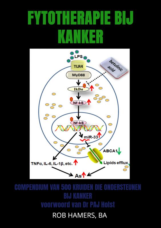 boekenbalie_9789403615547_cover Fytotherapie bij Kanker