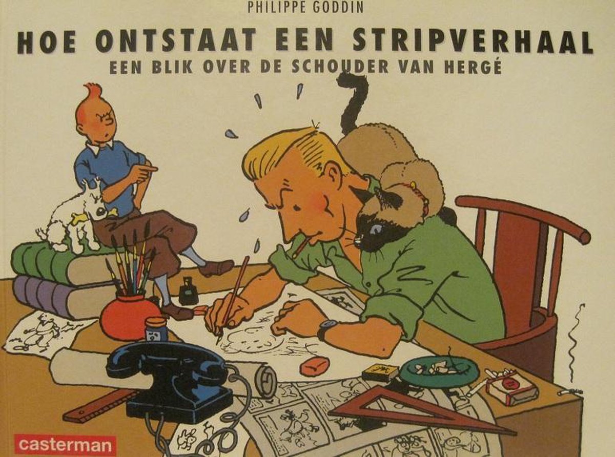 Hoe ontstaat een stripverhaal ? | Tweedehands | BoekenBalie