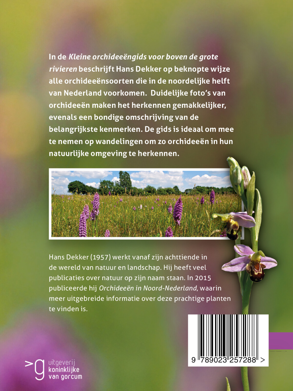 Kleine orchideeëngids voor boven de grote rivieren achterkant
