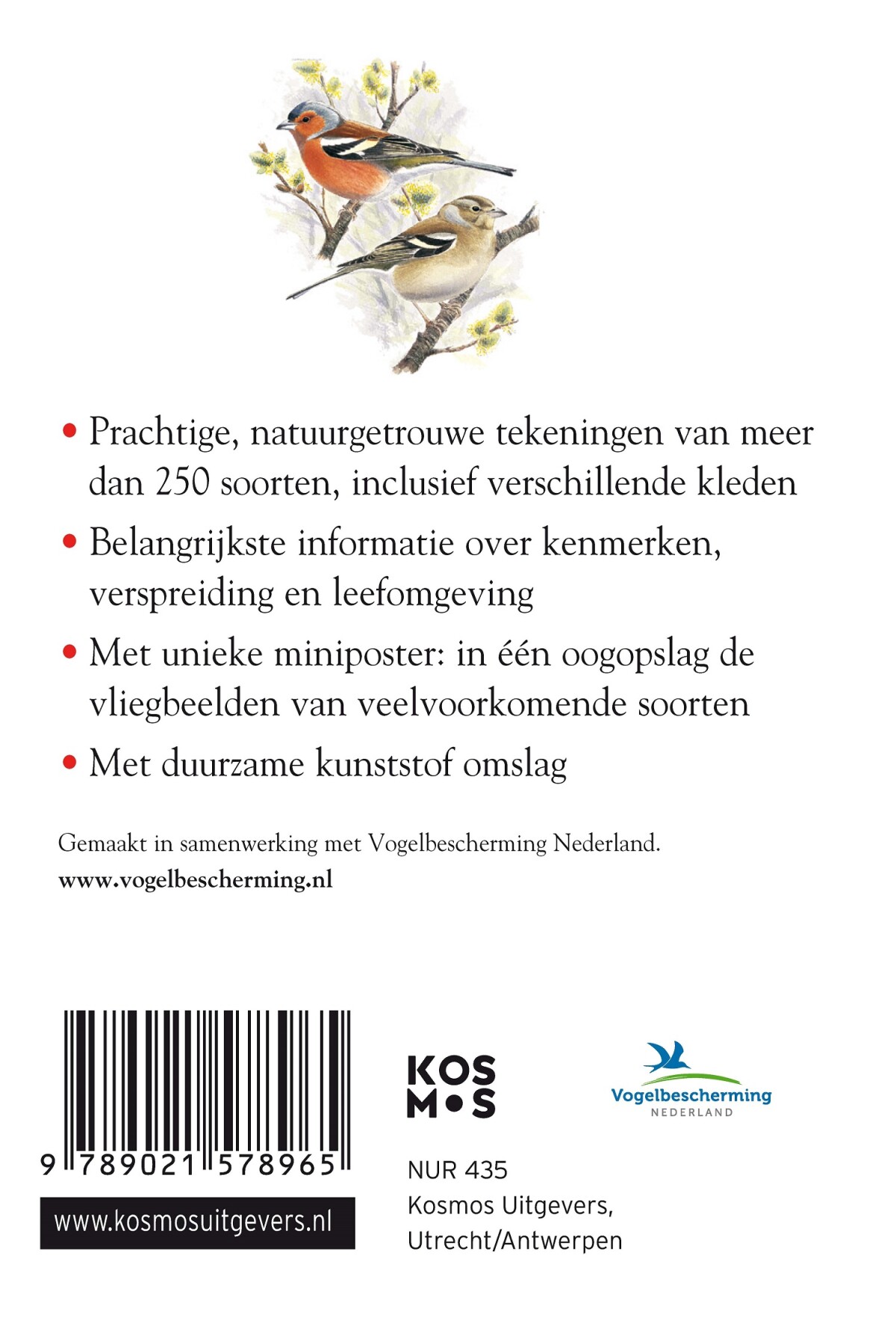 Compactgids Vogels / Compactgidsen natuur achterkant