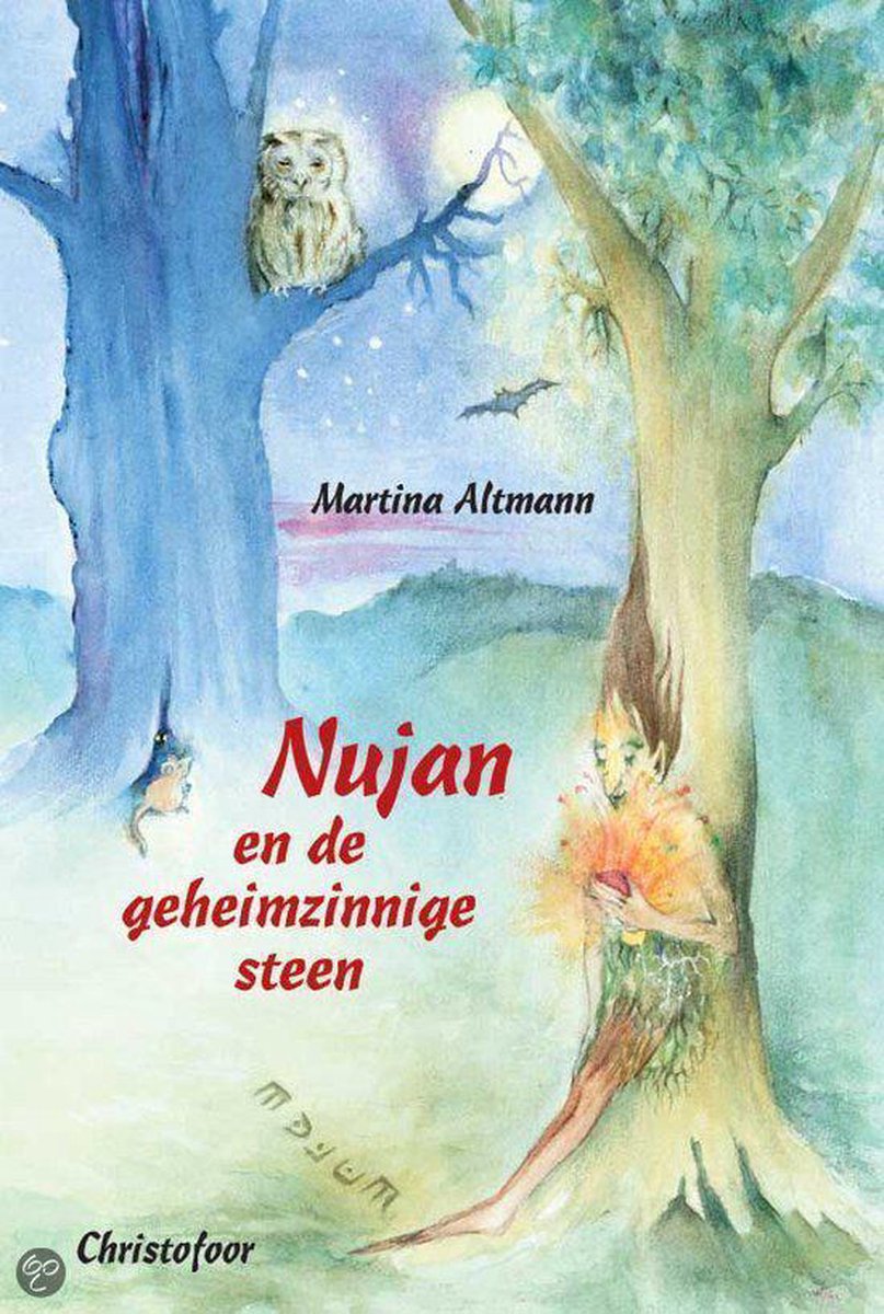 boekenbalie_9789062387182_cover Nujan en de geheimzinnige steen