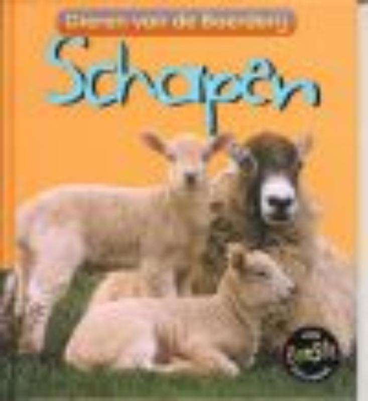 Schapen / Dieren van de boerderij