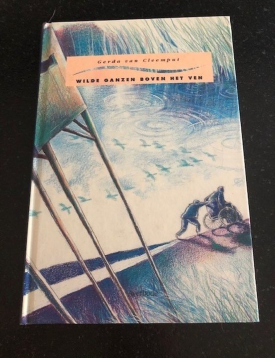 WILDE GANZEN BOVEN HET VEN / Zonneboeken