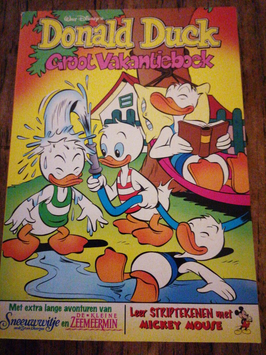 Donald duck groot vakantieboek