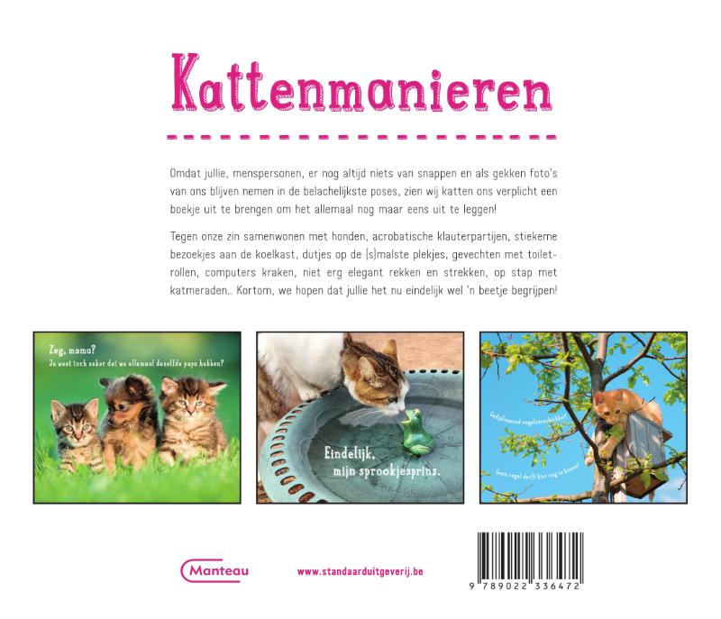 Kattenmanieren achterkant