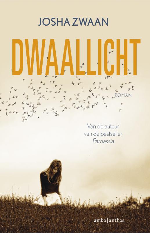 Dwaallicht