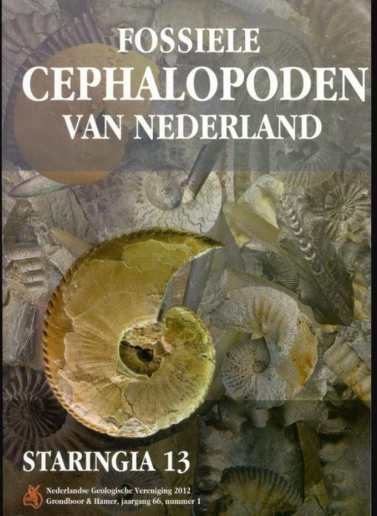 Fossiele cephalopoden van Nederland / Staringia / 13