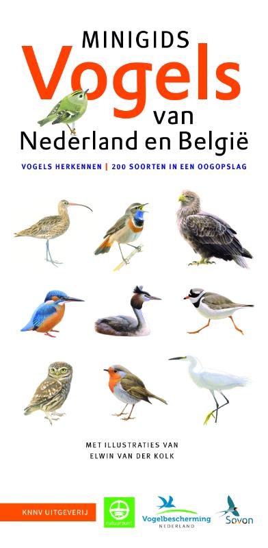 Minigids 1 -   Minigids Vogels van Nederland en België