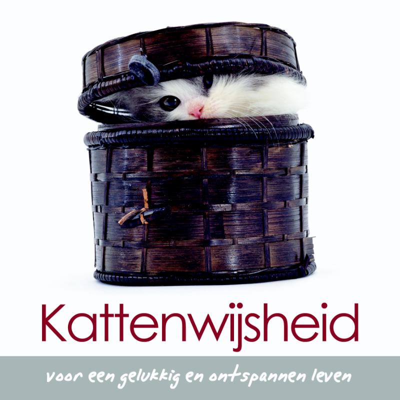 Kattenwijsheid